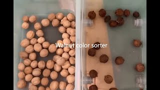 Walnut Color Sorter