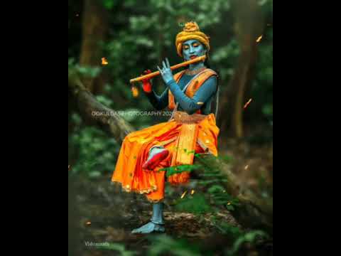 MADHAVA MAMAVA Krishna whatsapp status malayalam 2021@RadhaMadav Janmastami|Jayanthi| #krishnastatus