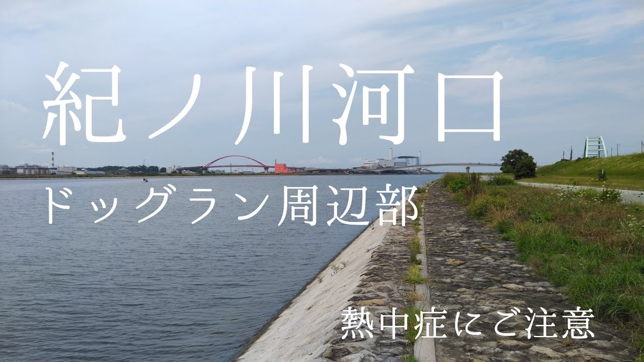 和歌山インター店 6 30 水 紀ノ川河口 ドッグラン周辺 和歌山釣果見聞録 24 Youtube