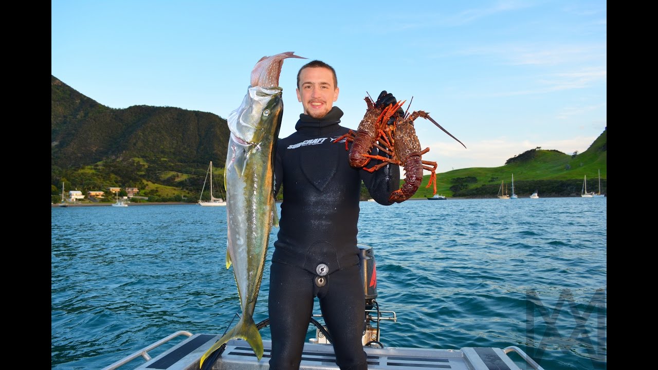 Spearfishing New Zealand Ep. 1 Whangarei