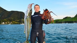 Spearfishing New Zealand Ep. 1 Whangarei