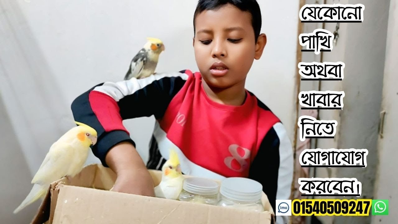 যে কোন পাখি ক্রয় করতে চাইলে যোগাযোগ করবেন।