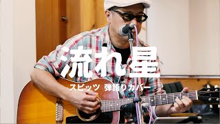 Video thumbnail of "スピッツ 流れ星/弾き語りカバー"