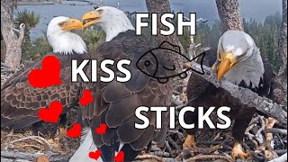 'FISH 🐟 KISS 😘 & STICKS 🥢DAY' Great Comeback of Jackie and Shadow 🦅🦅❤️Day 2, Big Bear Valley