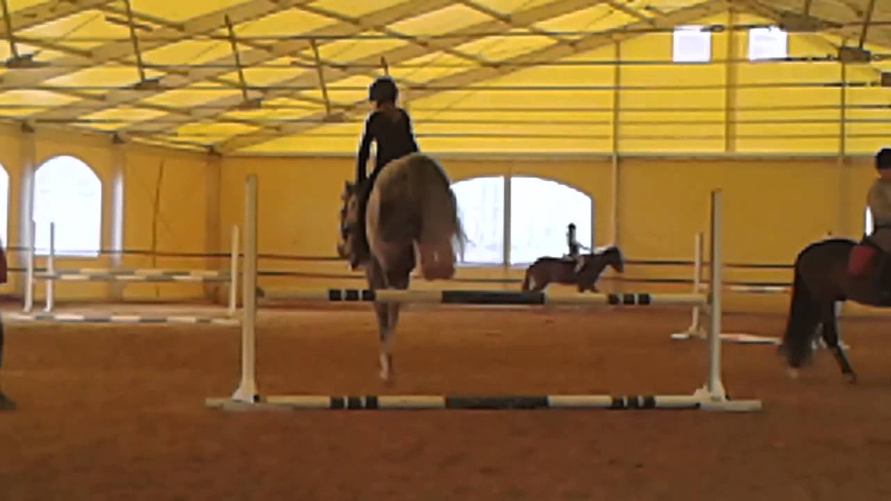 Caduta da cavallo YouTube Caduta da cavallo YouTube