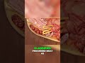 Processed Meats Cancer Risk You MUST Know!