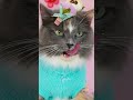 I DIG ICECREAM MONSTERS 😻🍦😋 ASMR Unboxing by Cute Cat 🥹