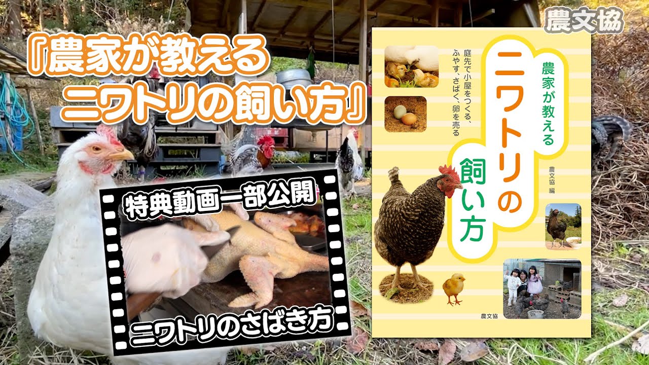 新刊『農家が教える ニワトリの飼い方』より ニワトリのさばき方 - YouTube