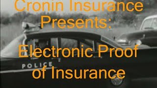 Electronic ID Cards
