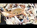 Crabs Cutting &amp; Cleaning | Fastest Cleaning | Cutting Types 360*