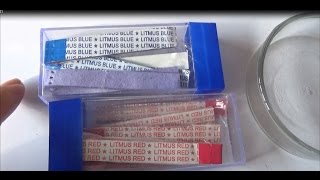 Action of Red and Blue Litmus Paper on Acid and Alkali - Experiment screenshot 3