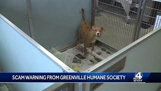 Greenville Humane Society warns of a scam in the Upstate