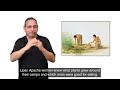 Life on the Great Plains: The Lipan-Apache Tribe and Their Culture