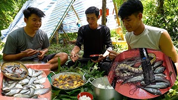 Rừng U Minh Còn Nhiều Tài Nguyên? - Ký Sự Rừng Già - Tập 1