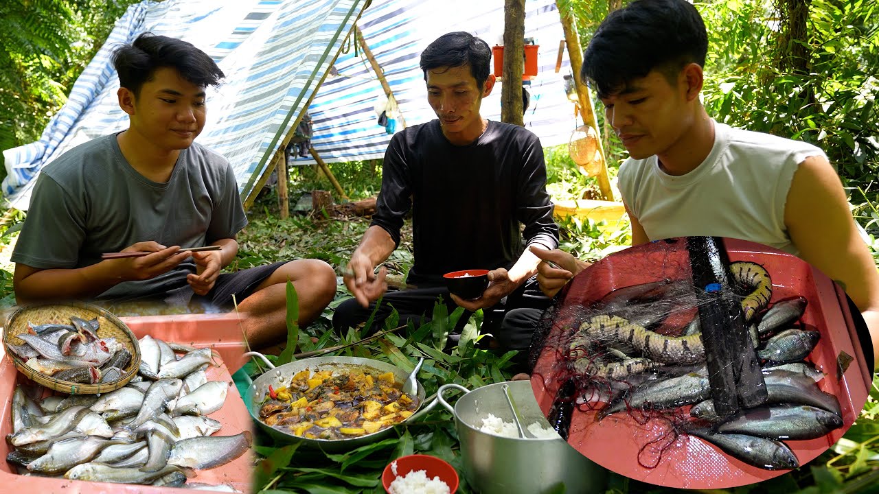 Rừng U Minh Còn Nhiều Tài Nguyên? - Ký Sự Rừng Già - Tập 1