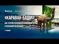 «Караван-Баши»: как устроен флагман региональной сети в Чеченской республике