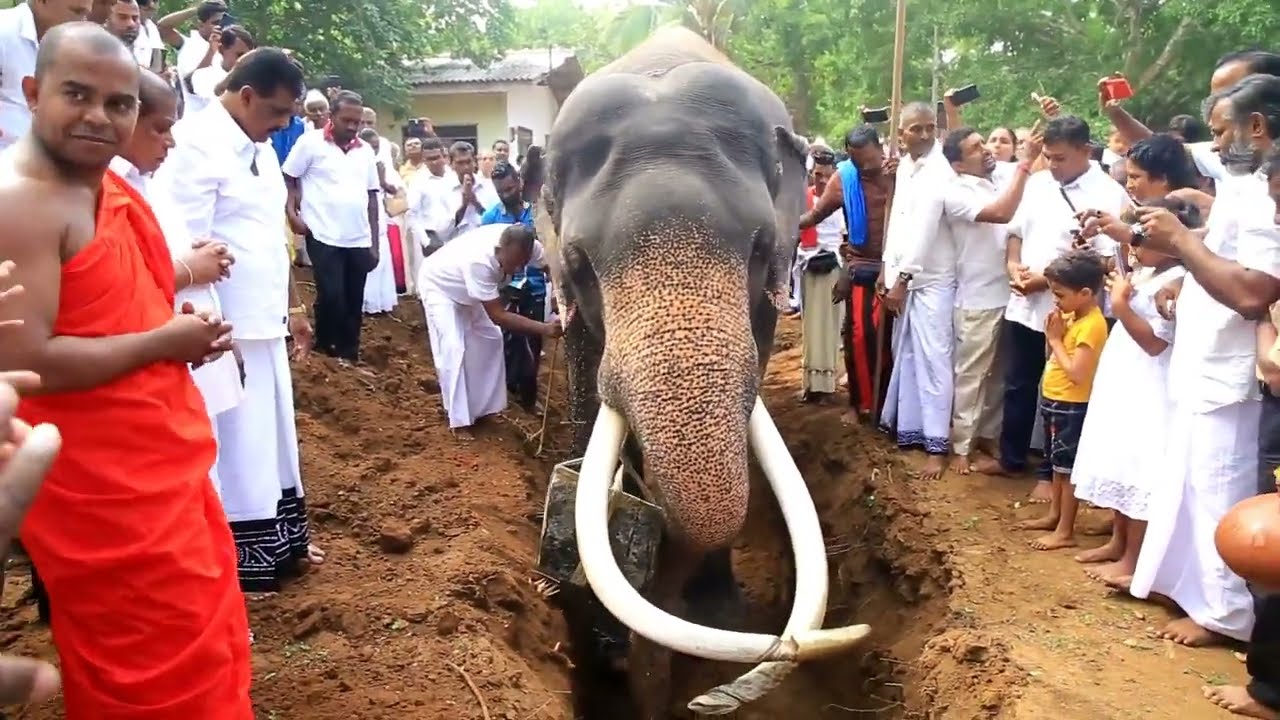 5 වන වරටත් චෛත්‍යක් වෙනුවෙන් මුල්ගල් තැබීමට අවස්ථාව ලැබුණු වාසනා | Kataragama Wasana