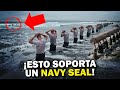 Seal team six el infernal entrenamiento de la fuerza de lite de eeuu