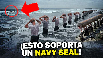 ¿Cuánto ejercicio hace un Navy Seal?