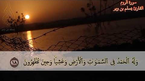 { فسبحان الله حين تمسون وحين تصبحون } #قصير #تلاوة  #short