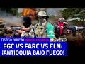 La ofensiva final del Clan del Golfo para sacar a las FARC de las minas de oro en ANTIOQUIA