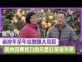 【短片】【騰飛南沙】南沙年花年桔熱銷大灣區 廣東消費實力勁花農訂單接不停