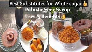 பனங்கருப்பட்டி Syrup எப்படி செய்வது? Substitutes For White sugar//How to Use PalmJaggery Syrup 