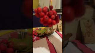 картинка: Рябиновые бусы.