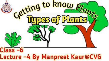 Types of plants||Chapter-8||Getting to know plants||Lec-4||Class6||Science||Manpreet Kaur