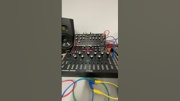 Moog Dfam Sub Harmonicon Spectravox #electronicmusic #semimodular