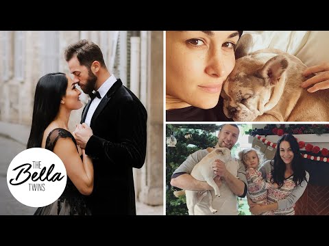 Nikki & Artem's