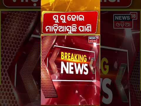ହୀରାକୁଦରୁ ମାଡ଼ିଆସୁଛି ବଡ଼ ବିପଦ... Hirakud Dam | Chhattisgarh Rain Raises Flood in Odisha | Odia News