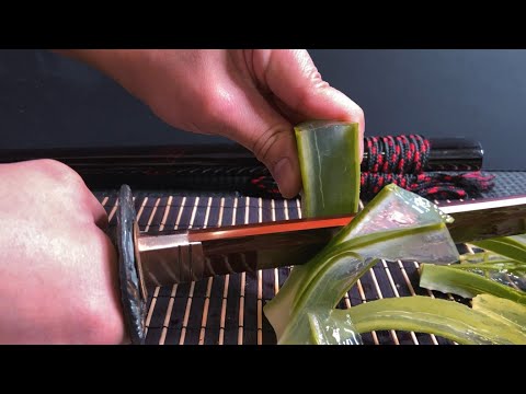 ASMR - How to cut Aloe Vera with a katana