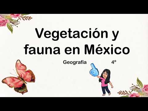 Vegetación y fauna en México