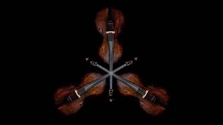 Howl's Moving Castle - Merry go round of Life Double bass bass Cover
