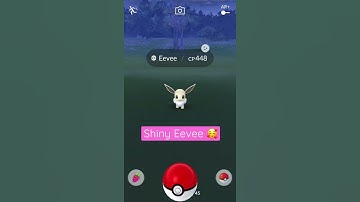 Catching Shiny Eevee | Pokémon Go