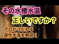【その水槽水温正しいですか??】プロが設定する水槽の水温についてやさしく解説します!