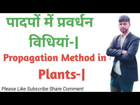 Propagation Method in Plants-|, पादपों में परवर्धन की विधियां -|, Jet,Pre-pg, AO, Agri.Supervisor,