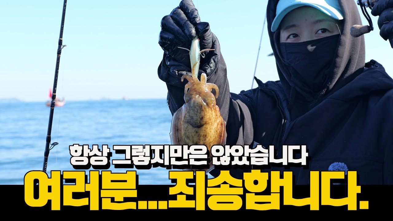 이제 막바지 갑오징어 오천권에 다녀왔습니다