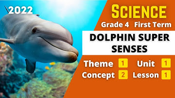 SCIENCE | Grade 4 | Dolphin Super Senses | Unit 1 - Concept 2 - Lesson 1