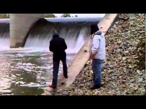 on line gay education gay fishermen springfield mo