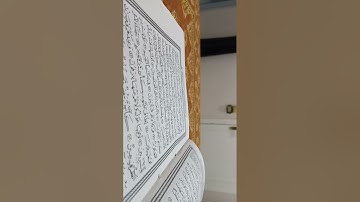 احشروا الذين ظلموا وأزواجهم وما كانوا يعبدون 🌹سوره الصافات
