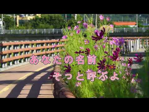 秋桜(カラオケバージョン)