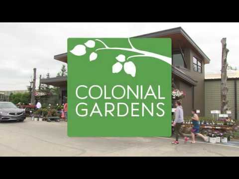 Colonial Gardens  - Weeding