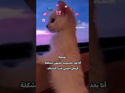 والله انا الجزائر تونس المغرب ابوني ربي يحفظلك الوالدين الشعب الصيني ماله حل فلسطين حرة غزة