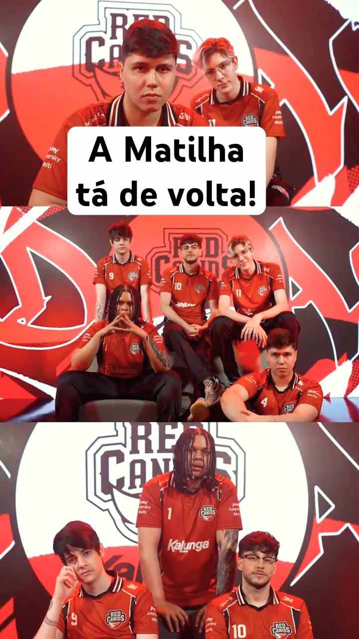 A Matilha está de volta! Conheça como chega a RED Canids para a LTA Sul