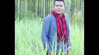 ADI LIANDRA - CINTA BERCABANG
