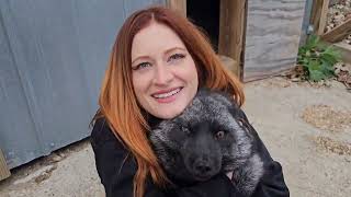 A Saveafox update, from Ruby fox!