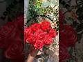 friend ka birthday bhul gayi guys 🥲 pr phir bhi uske liye cute sa gift 😻🌸