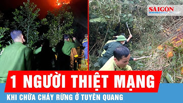Cập nhật nóng: Chữa cháy rừng ở Tuyên Quang, 1 người thiệt mạng  | Tin tức